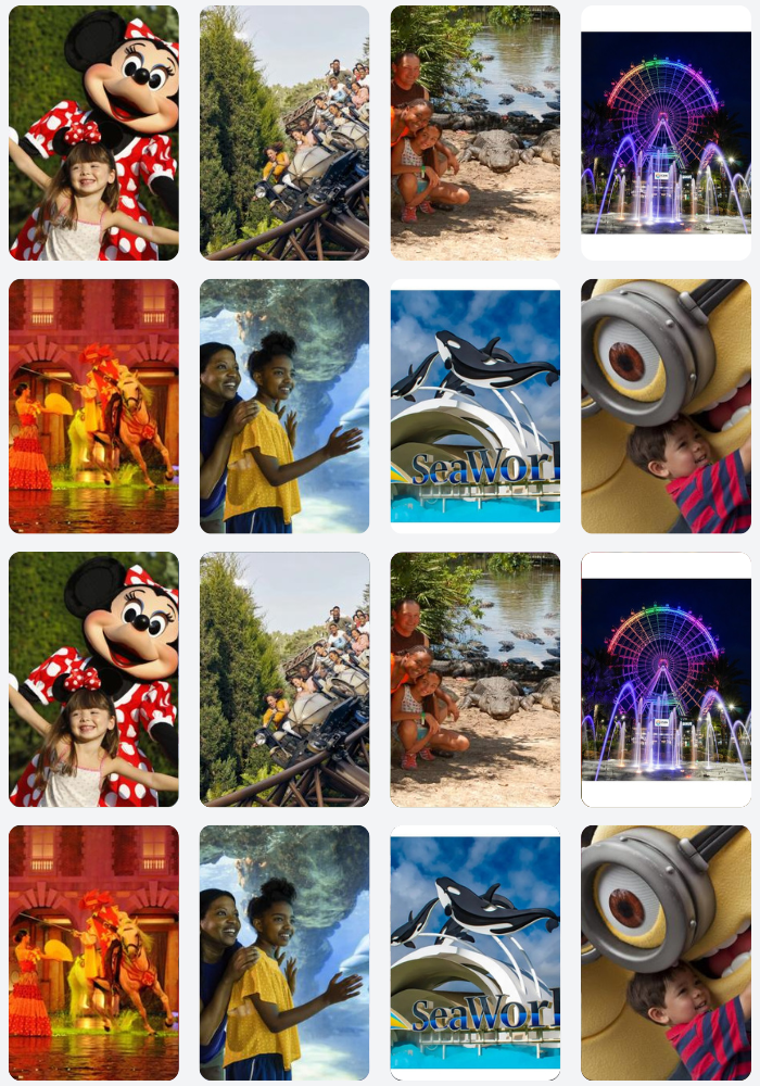collections image