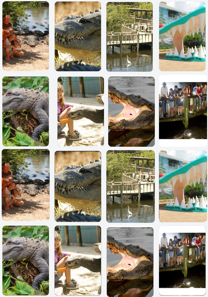 collections image