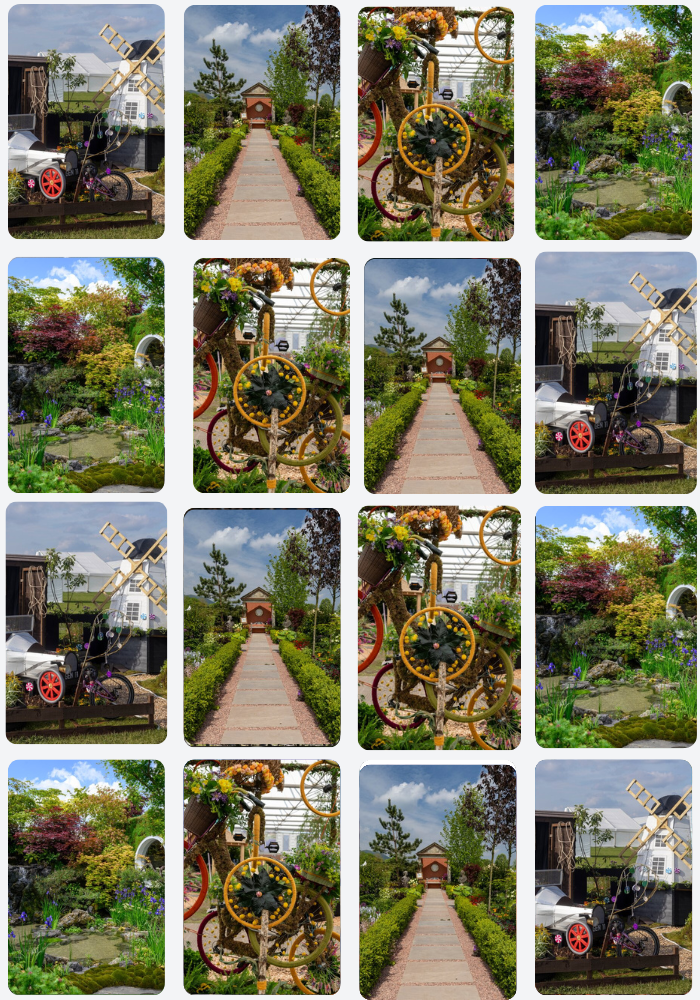 collections image