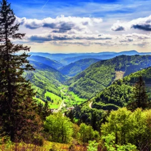 Rhine Cruise to Switzerland for Solo Travellers